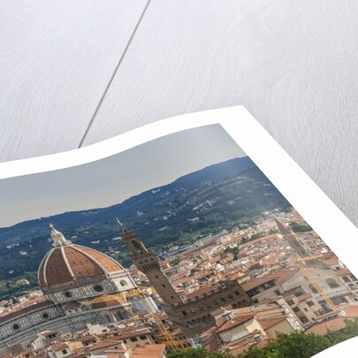 View of Santa Maria del Fiore Cathedral and Palazzo Vecchio from Forte Belvedere by Anonymous