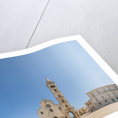 View of the Cathedral by Anonymous