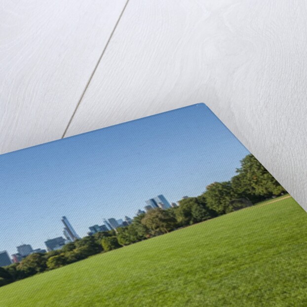 Central Park by Anonymous