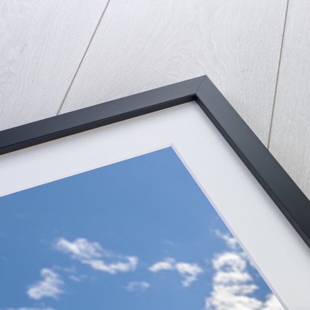 North Cove Marina by Anonymous