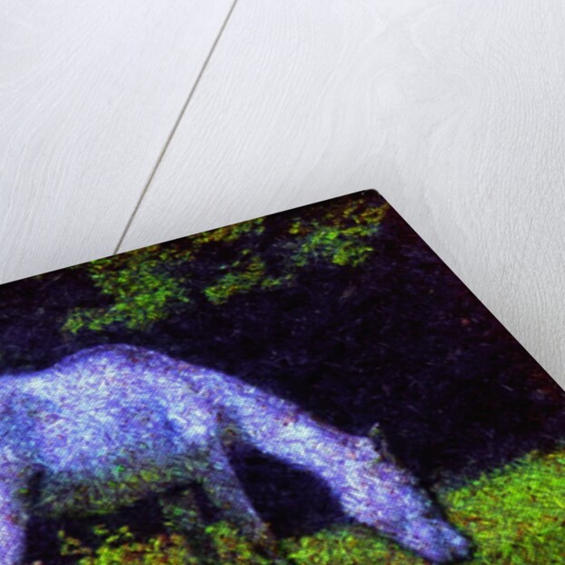 White Horse by Anonymous