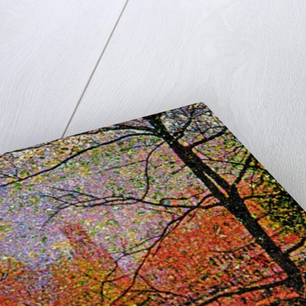 Tree and Canal by Anonymous