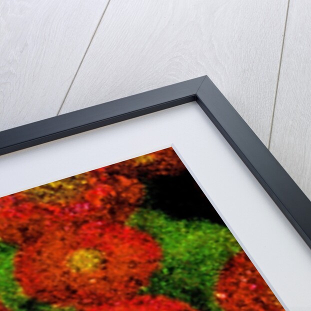 Flowers by Anonymous