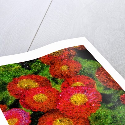 Flowers by Anonymous