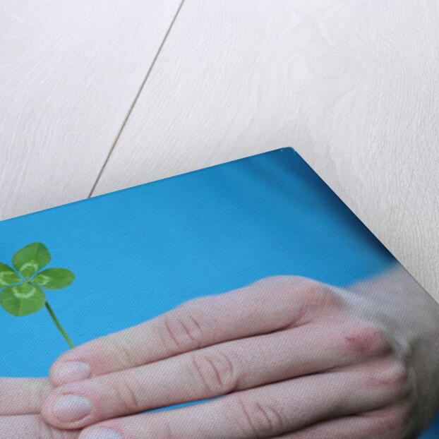 Man holding four-leaf clover by Anonymous