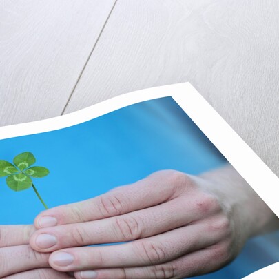 Man holding four-leaf clover by Anonymous