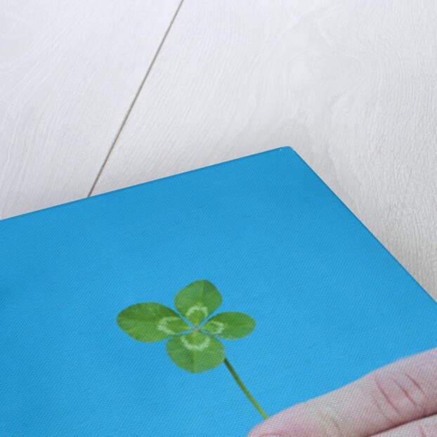 Man holding four-leaf clover by Anonymous