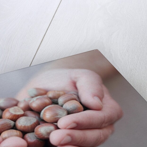 Man in khaki t-shirt holds hazelnuts in his palms by Anonymous