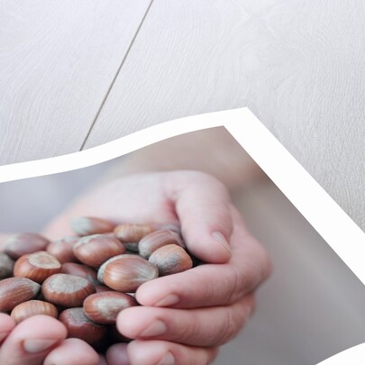 Man in khaki t-shirt holds hazelnuts in his palms by Anonymous
