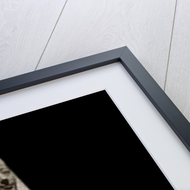 Ancient Egyptian sculpture representing the divinity Iwnit by Anonymous