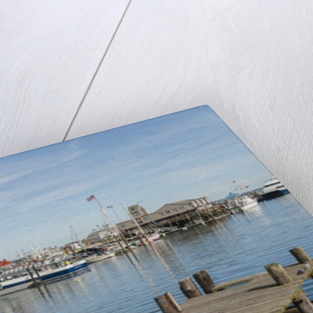 The Harbor by Anonymous