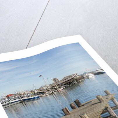 The Harbor by Anonymous