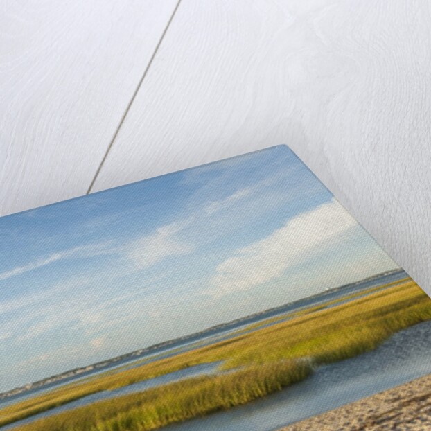 Race Point by Anonymous