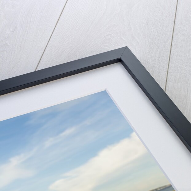 Race Point by Anonymous