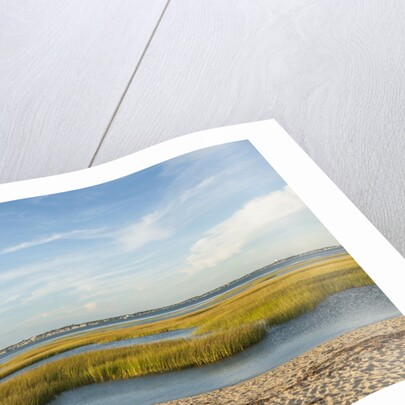 Race Point by Anonymous