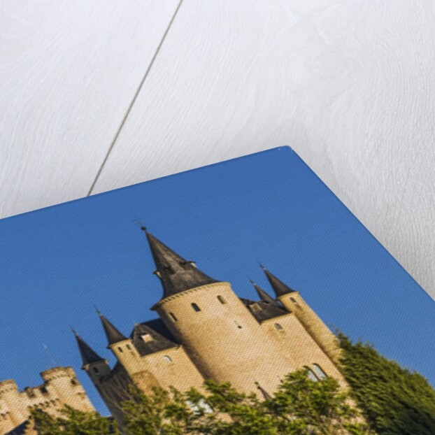 View of the AlcÃƒÂ¡zar (Castle) de Segovia by Anonymous