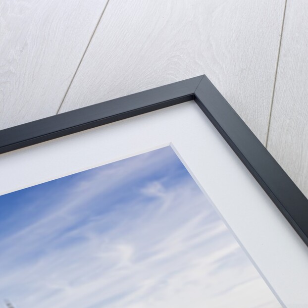 View of the AlcÃƒÂ¡zar (Castle) de Segovia by Anonymous