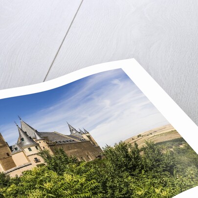 View of the AlcÃƒÂ¡zar (Castle) de Segovia by Anonymous