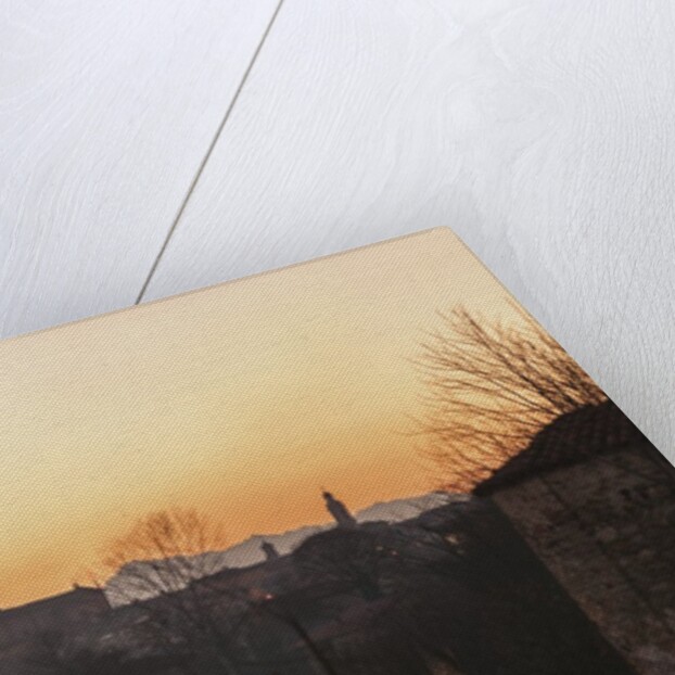 View of the village by Anonymous