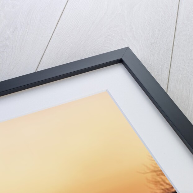 View of the village by Anonymous