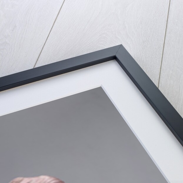 Ancient Egyptian torso of Queen Nefertit by Anonymous