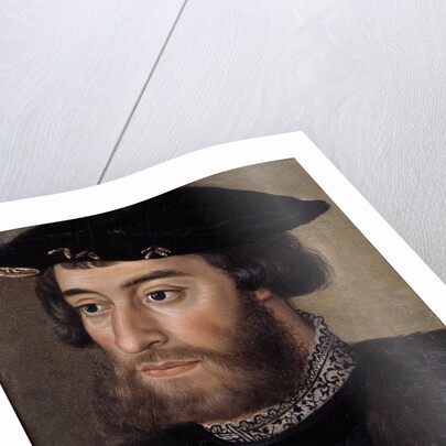 Portrait of Guillaume de Bellay, Lord of Langey by Anonymous