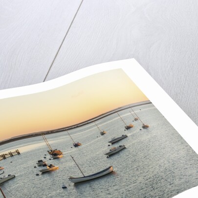 The Harbor by Anonymous