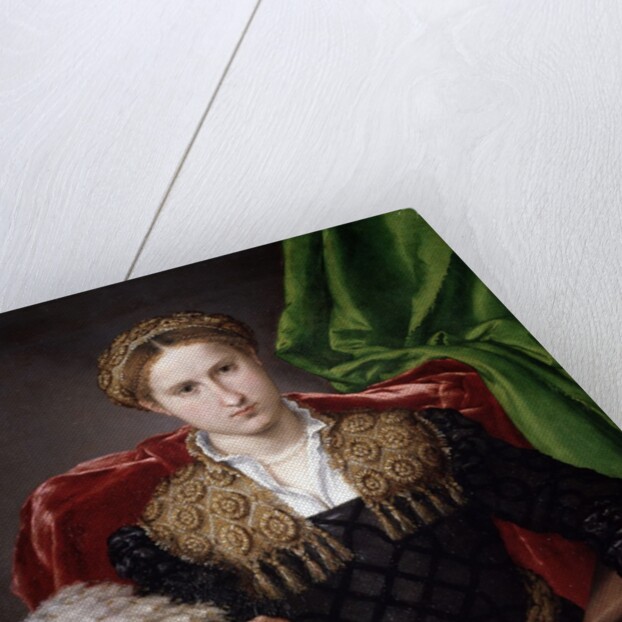 Portrait of Laura Pola by Lorenzo Lotto
