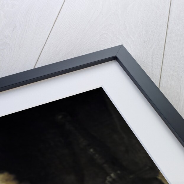 Apostle Paul by Rembrandt van Rijn