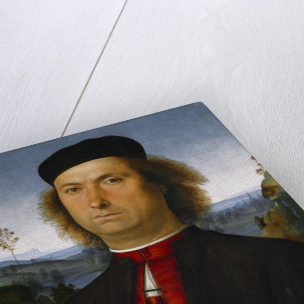 Portrait of Francesco delle Opere by Perugino