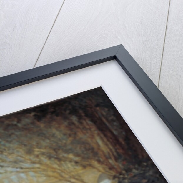 The Women of the Comedie Francaise in their Costumes in 1855 by Faustin Besson