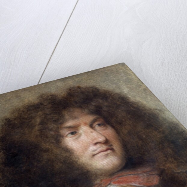 Portrait of Louis XIV, by Charles le Brun