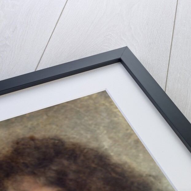 Portrait of Louis XIV, by Charles le Brun