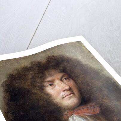 Portrait of Louis XIV, by Charles le Brun