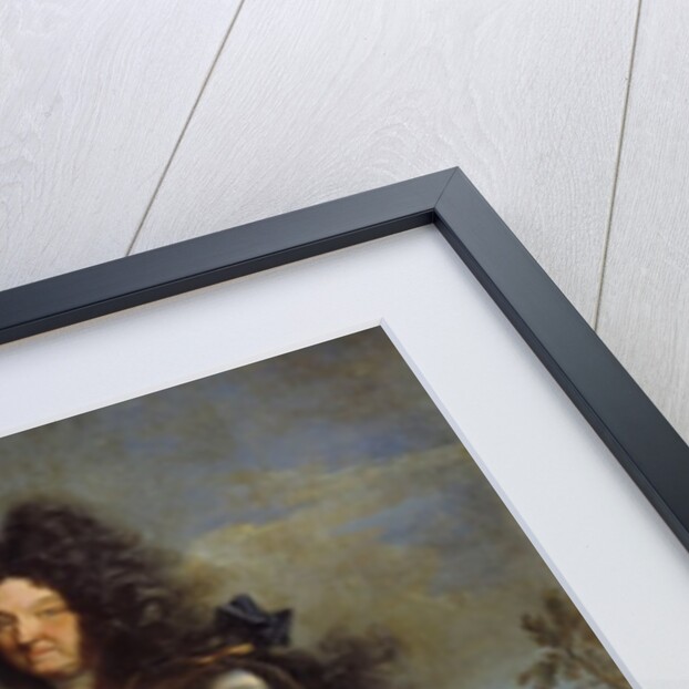 Portrait of Louis XIV of France, by Hyacinthe Rigaud