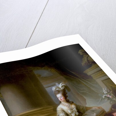 Marie Antoinette by Marie Elisabeth Louise Vigee Lebrun