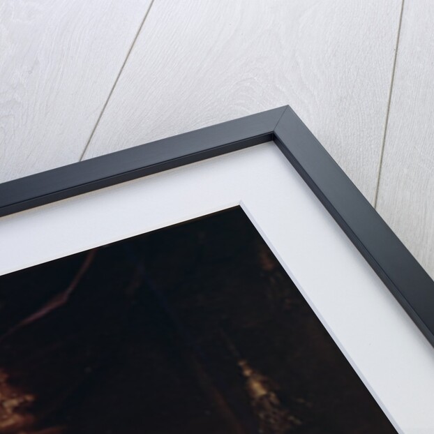 Portrait of Pope Clement IX (1600-69) by Carlo Maratta