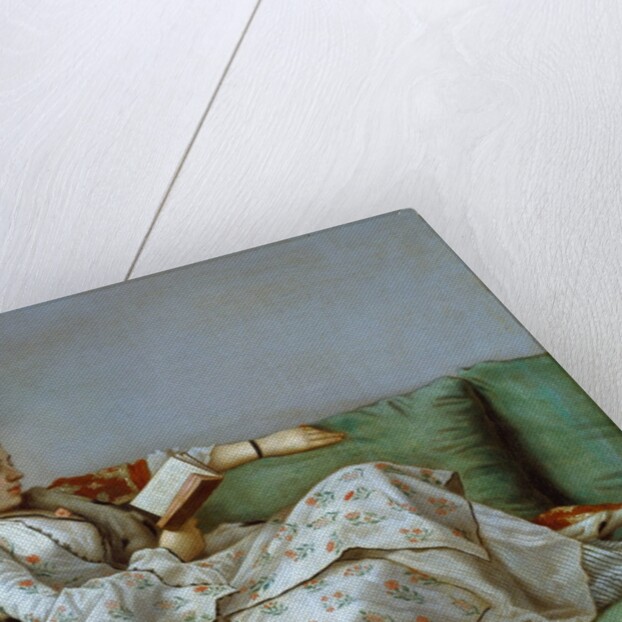 Portrait of Marie Adelaide of France by Jean-Etienne Liotard