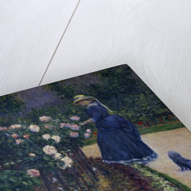 Roses in the Garden at Petit Gennevilliers by Gustave Caillebotte
