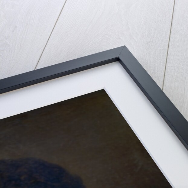 Portrait of Gioacchino Rossini by Vincenzo Camuccini