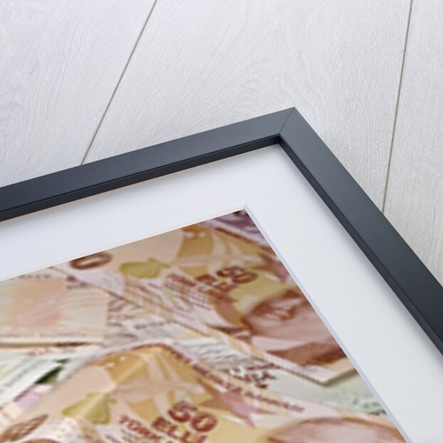 Turkish Currency by Anonymous