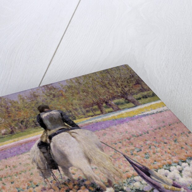 Vanquished by George Hitchcock