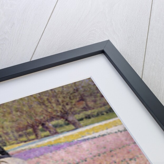 Vanquished by George Hitchcock