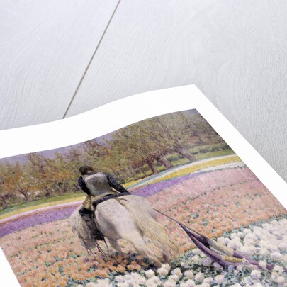 Vanquished by George Hitchcock