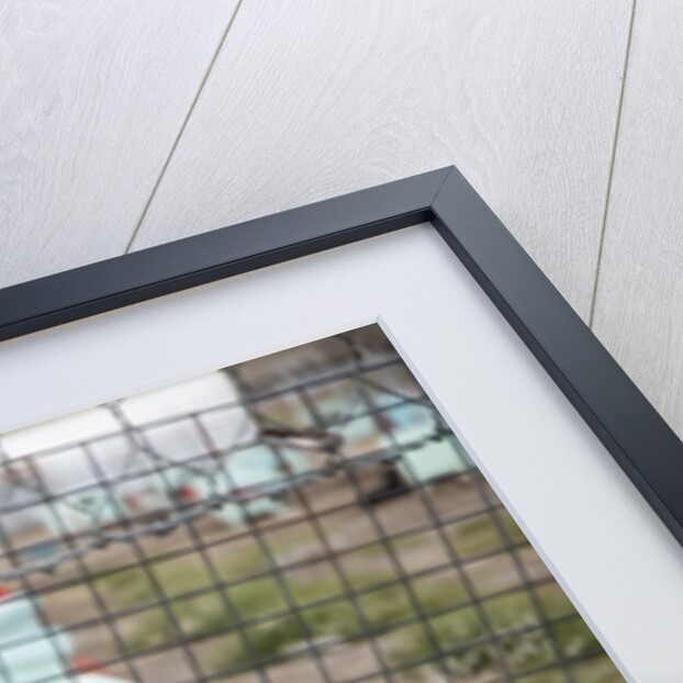 Sled Dog, Rankin Inlet, Nunavut, Canada by Anonymous