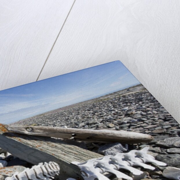 Whalers' Graves, Deadman Island, Nunavut, Canada by Anonymous
