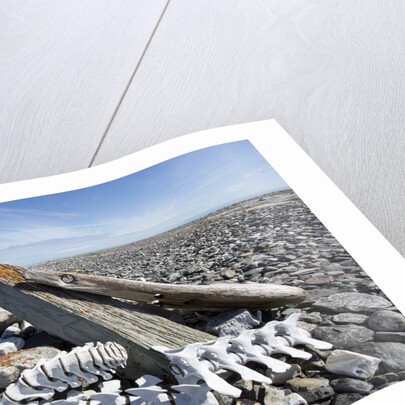 Whalers' Graves, Deadman Island, Nunavut, Canada by Anonymous