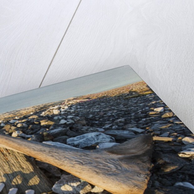 Whalers' Graves, Deadman Island, Nunavut, Canada by Anonymous