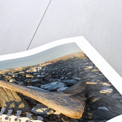 Whalers' Graves, Deadman Island, Nunavut, Canada by Anonymous