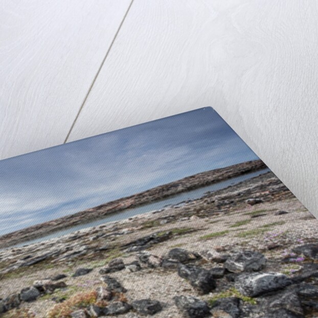 Tent Rings, Nunavut, Canada by Anonymous